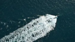 Backdrop to the movie "Kraken" #629649