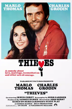 Poster to the movie "Thieves" #704044