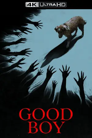 Poster to the movie "Good Boy" #770386