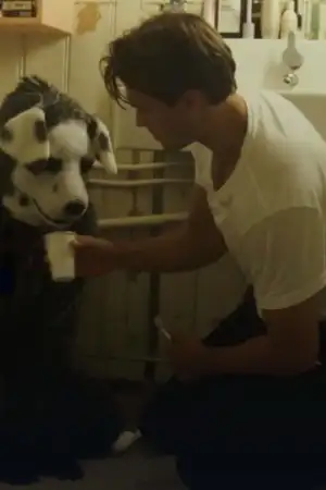 Poster to the movie "Good Boy" #747299