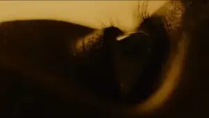 Backdrop to the movie "Hurry Up Tomorrow" #593834