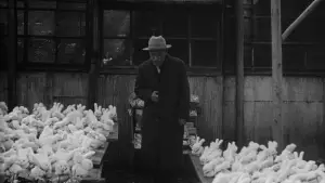 Backdrop to the movie "Ikiru" #749572