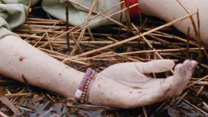 Backdrop to the movie "Reedland" #790221