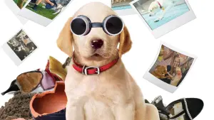 Backdrop to the movie "Marley & Me: The Puppy Years" #397637