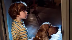 Backdrop to the movie "Billy and Buddy" #501887