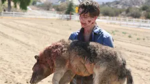 Backdrop to the movie "Frankenstein" #496925