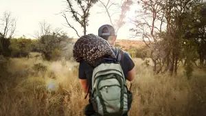 Backdrop to the movie "Pangolin: Kulu