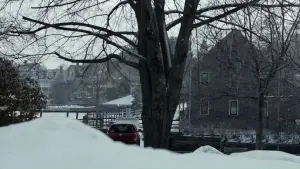 Backdrop to the movie "Manchester by the Sea" #916884