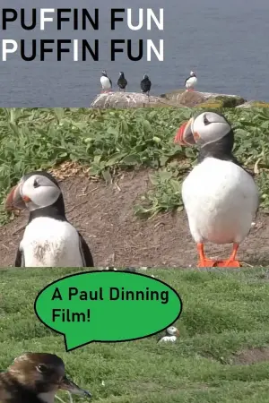 Poster to the movie "Puffin Fun" #483448