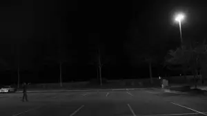 Backdrop to the movie "Do Flowers Grow on the Moon?" #480699