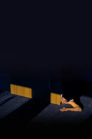 Poster to the movie "Lost in the Night" #403943