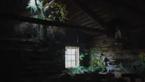 Backdrop to the movie "Train Dreams" #514914