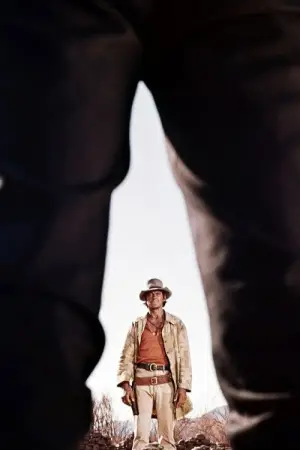 Poster to the movie "Once Upon a Time in the West" #749712