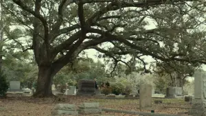 Backdrop to the movie "Halloween" #640232