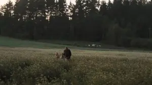 Backdrop to the movie "Mirror" #751479