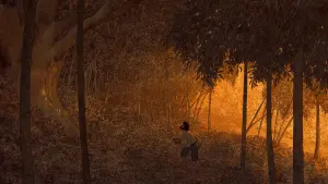 Backdrop to the movie "The Red Turtle" #211950