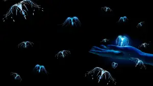 Backdrop to the movie "Avatar" #516287