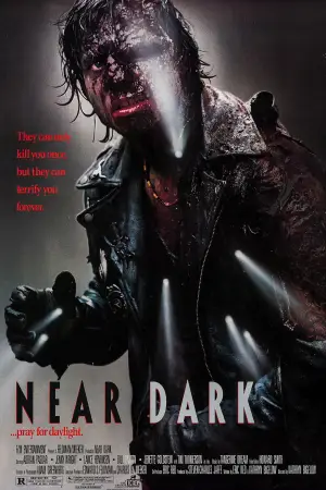 Poster to the movie "Near Dark" #872352