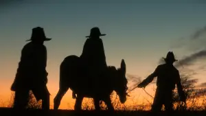 Backdrop to the movie "Wolfram" #787390