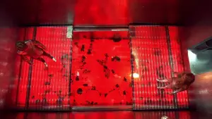 Backdrop to the movie "Austin Powers: The Spy Who Shagged Me" #691339