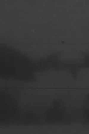 Poster to the movie "Q&A" #572810