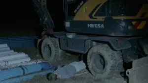 Backdrop to the movie "A Chronicle in Spirals" #449136