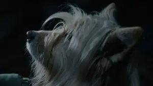 Backdrop to the movie "The Last Slap" #787972