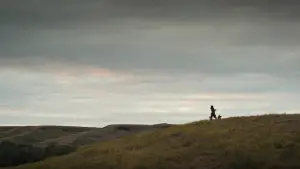 Backdrop to the movie "Prey" #626133