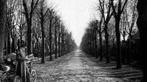 Backdrop to the movie "The Third Man" #699988