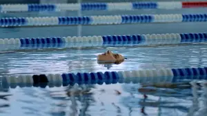 Backdrop to the movie "What You See of Me" #682508