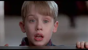 Backdrop to the movie "Home Alone 2: Lost in New York" #566997