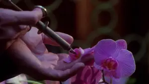 Backdrop to the movie "Secretary" #718488