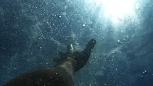 Backdrop to the movie "Fatal Watch" #692235