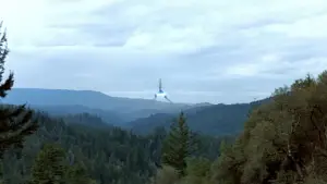 Backdrop to the movie "Return of the Jedi" #604813