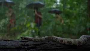 Backdrop to the movie "Sambhavam Adhyayam Onnu" #772001