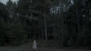 Backdrop to the movie "The Witch" #600201