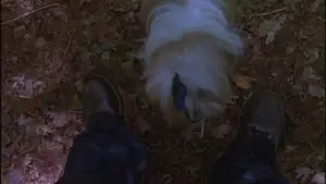 Backdrop to the movie "Friday the 13th Part 2" #665857