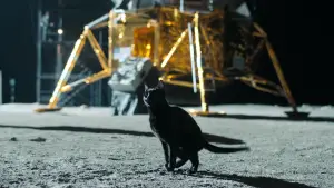 Backdrop to the movie "Fly Me to the Moon" #581082