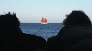 Backdrop to the movie "Inherent Vice" #704158