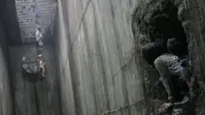 Backdrop to the movie "The Host" #247860