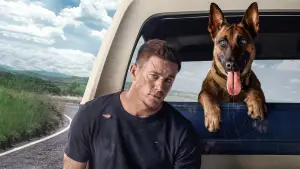 Backdrop to the movie "Dog" #867942