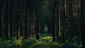 Backdrop to the movie "Wake Up Dead Man: A Knives Out Mystery" #522114