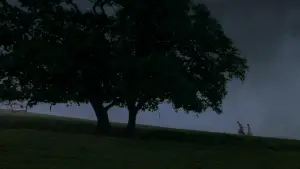Backdrop to the movie "Sense and Sensibility" #847199