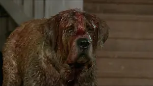 Backdrop to the movie "Cujo" #853736
