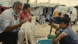 Backdrop to the movie "Sleepless City" #764950