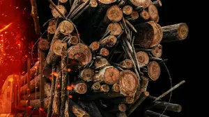 Backdrop to the movie "Final Destination 6" #547903