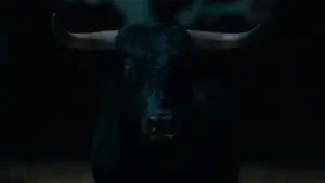 Backdrop to the movie "Afternoons of Solitude" #675282