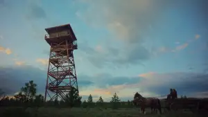 Backdrop to the movie "Train Dreams" #514862