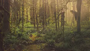 Backdrop to the movie "Prospect" #299509