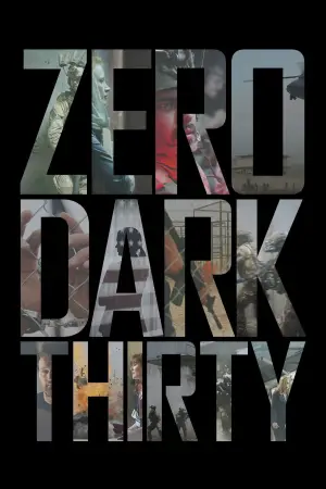 Poster to the movie "Zero Dark Thirty" #811131